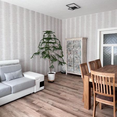 Schoene Altbauwohnung Mit Grosser Sonnenterrasse Rudolstadt Esterno foto