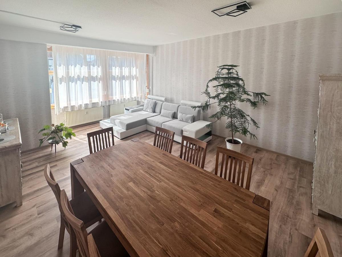 Schoene Altbauwohnung Mit Grosser Sonnenterrasse Rudolstadt Esterno foto