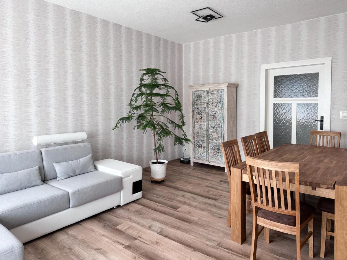 Schoene Altbauwohnung Mit Grosser Sonnenterrasse Rudolstadt Esterno foto